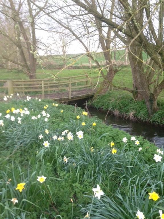 Mill Cottage Malpas  Luaran gambar